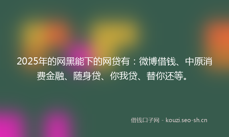 2025年的网黑能下的网贷有：微博借钱、中原消费金融、随身贷、你我贷、替你还等。
