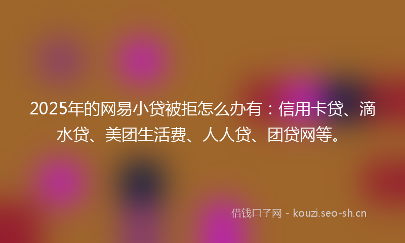 2025年的网易小贷被拒怎么办有：信用卡贷、滴水贷、美团生活费、人人贷、团贷网等。