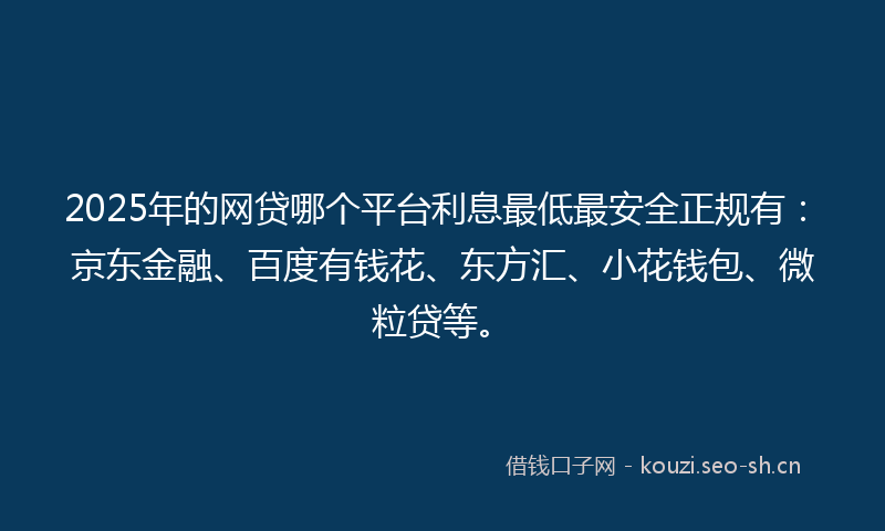 2025年的网贷哪个平台利息最低最安全正规有：京东金融、百度有钱花、东方汇、小花钱包、微粒贷等。