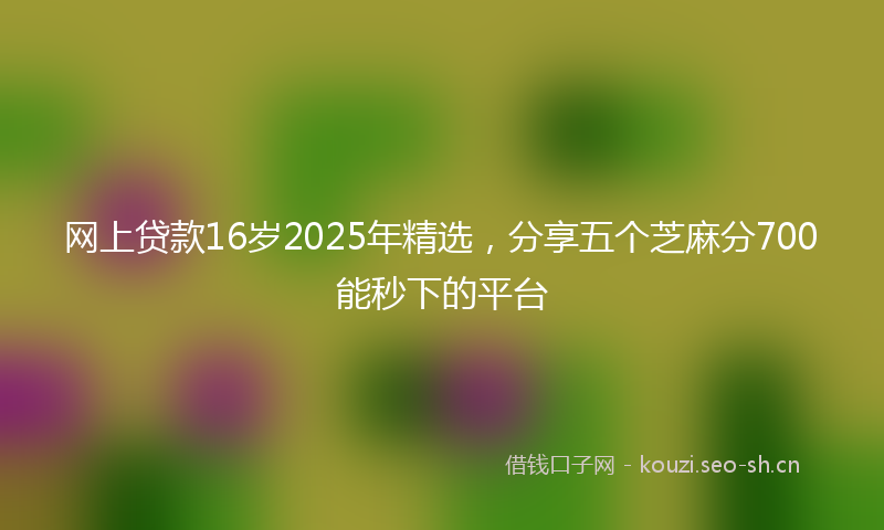 网上贷款16岁2025年精选，分享五个芝麻分700能秒下的平台