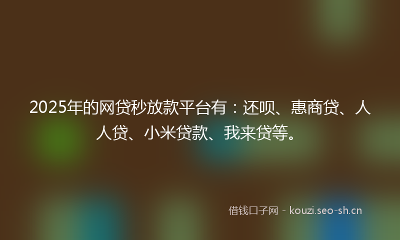 2025年的网贷秒放款平台有：还呗、惠商贷、人人贷、小米贷款、我来贷等。