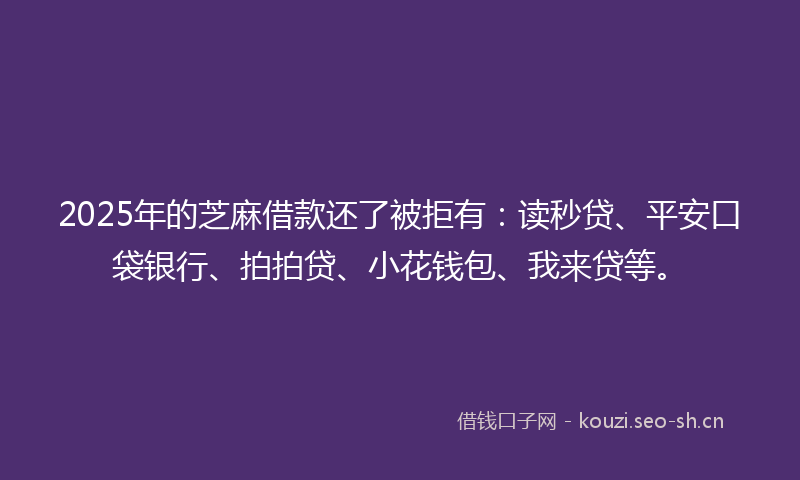 2025年的芝麻借款还了被拒有：读秒贷、平安口袋银行、拍拍贷、小花钱包、我来贷等。