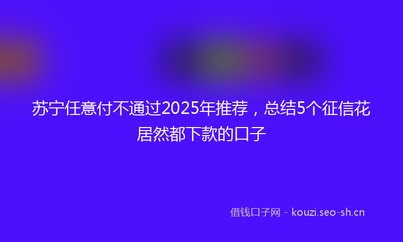 苏宁任意付不通过2025年推荐,总结5个征信花居然都下款的口子