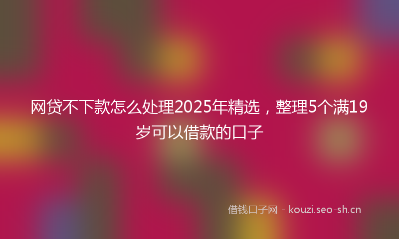 网贷不下款怎么处理2025年精选，整理5个满19岁可以借款的口子