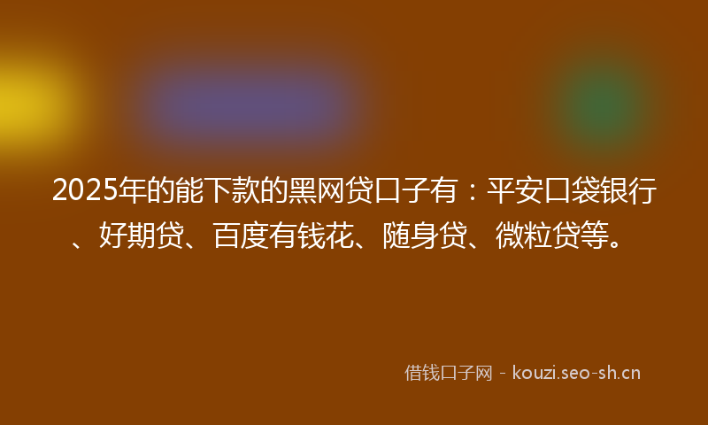 2025年的能下款的黑网贷口子有：平安口袋银行、好期贷、百度有钱花、随身贷、微粒贷等。