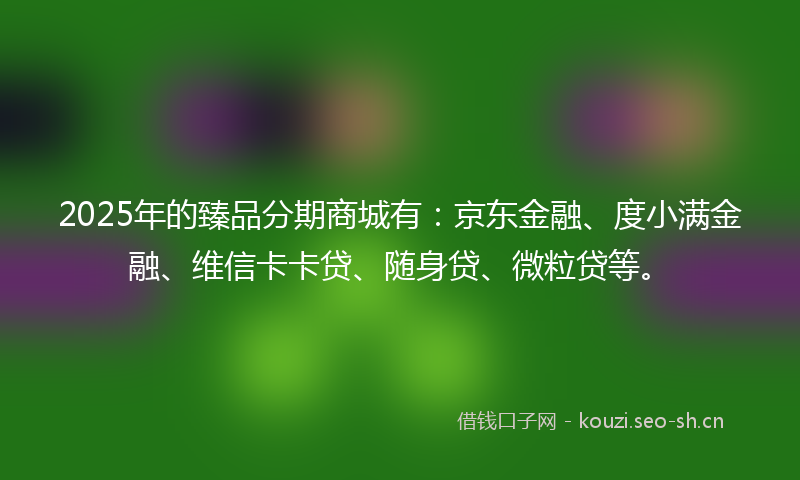 2025年的臻品分期商城有：京东金融、度小满金融、维信卡卡贷、随身贷、微粒贷等。