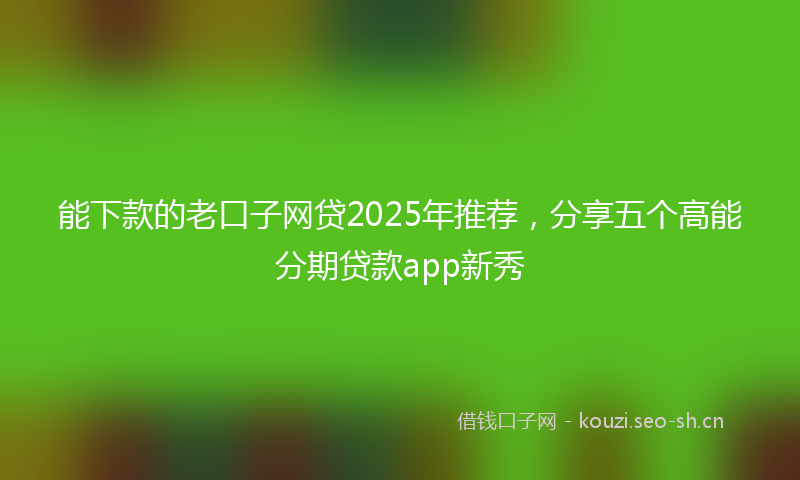 能下款的老口子网贷2025年推荐，分享五个高能分期贷款app新秀