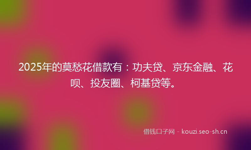 2025年的莫愁花借款有：功夫贷、京东金融、花呗、投友圈、柯基贷等。