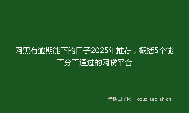 网黑有逾期能下的口子2025年推荐，概括5个能百分百通过的网贷平台