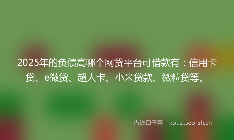 2025年的负债高哪个网贷平台可借款有：信用卡贷、e微贷、超人卡、小米贷款、微粒贷等。