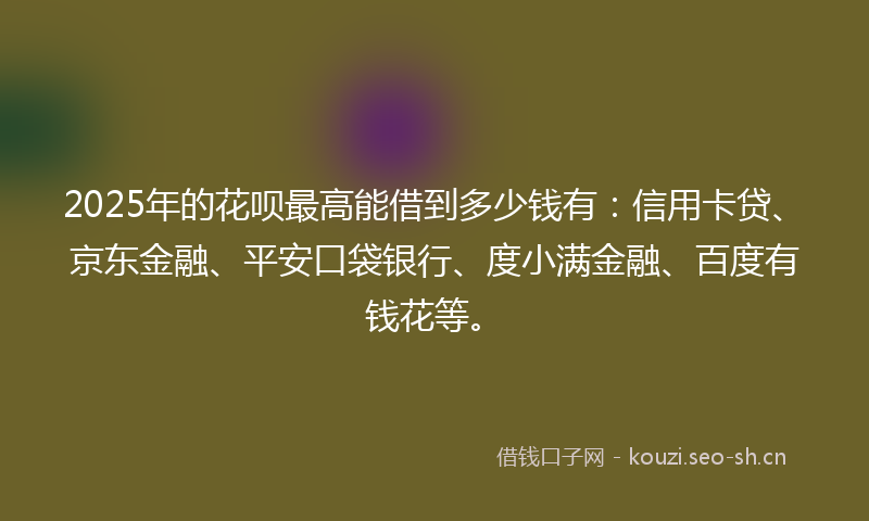 2025年的花呗最高能借到多少钱有：信用卡贷、京东金融、平安口袋银行、度小满金融、百度有钱花等。