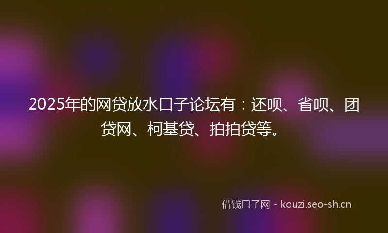 2025年的网贷放水口子论坛有：还呗、省呗、团贷网、柯基贷、拍拍贷等。