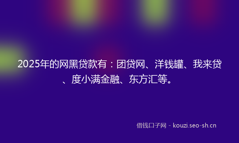 2025年的网黑贷款有：团贷网、洋钱罐、我来贷、度小满金融、东方汇等。