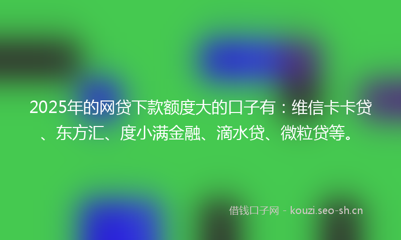 2025年的网贷下款额度大的口子有：维信卡卡贷、东方汇、度小满金融、滴水贷、微粒贷等。
