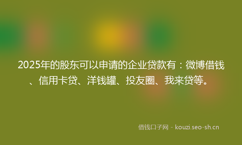 2025年的股东可以申请的企业贷款有：微博借钱、信用卡贷、洋钱罐、投友圈、我来贷等。