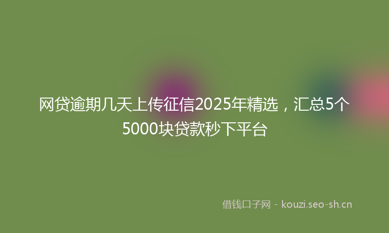 网贷逾期几天上传征信2025年精选，汇总5个5000块贷款秒下平台