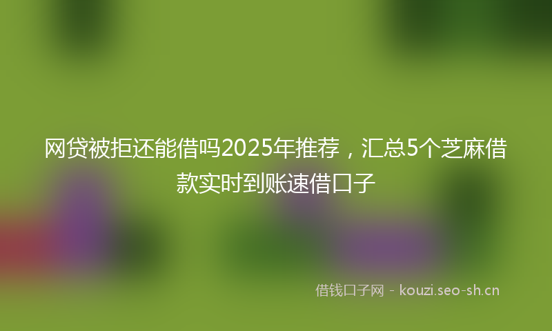 网贷被拒还能借吗2025年推荐，汇总5个芝麻借款实时到账速借口子