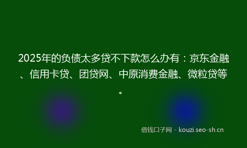 2025年的负债太多贷不下款怎么办有：京东金融、信用卡贷、团贷网、中原消费金融、微粒贷等。