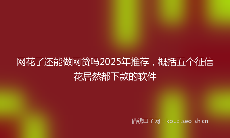 网花了还能做网贷吗2025年推荐，概括五个征信花居然都下款的软件