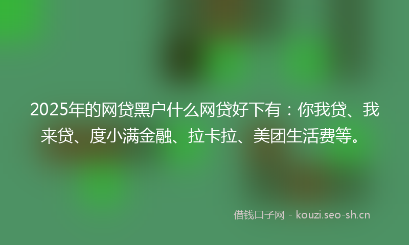 2025年的网贷黑户什么网贷好下有：你我贷、我来贷、度小满金融、拉卡拉、美团生活费等。