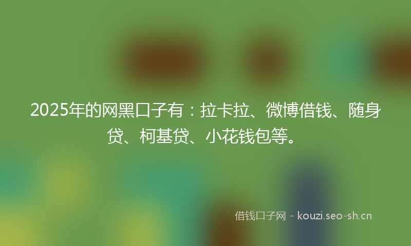 2025年的网黑口子有：拉卡拉、微博借钱、随身贷、柯基贷、小花钱包等。