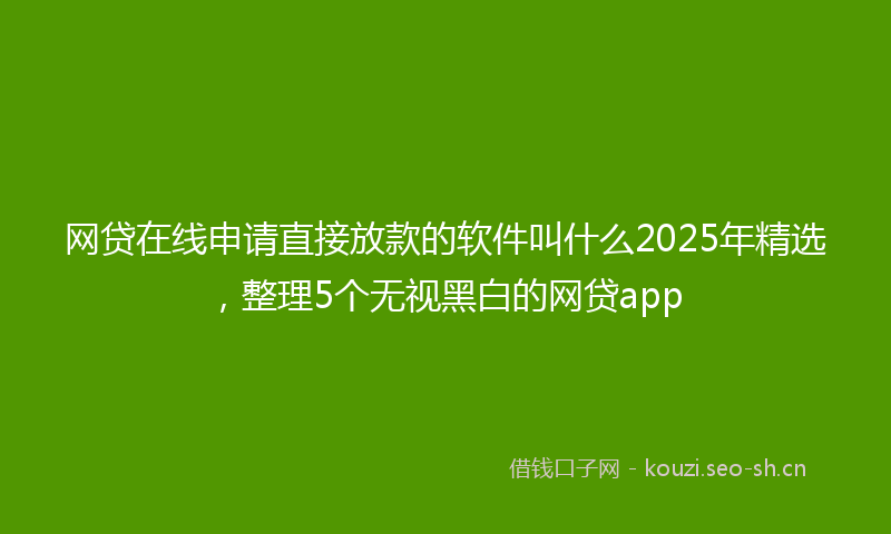 网贷在线申请直接放款的软件叫什么2025年精选，整理5个无视黑白的网贷app