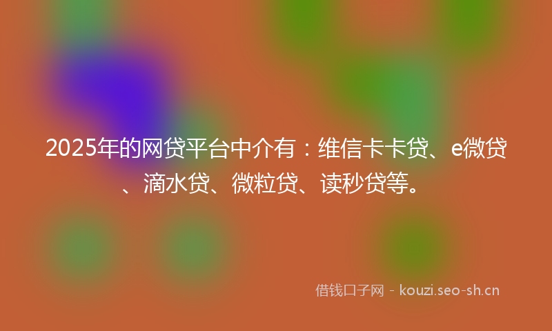 2025年的网贷平台中介有：维信卡卡贷、e微贷、滴水贷、微粒贷、读秒贷等。