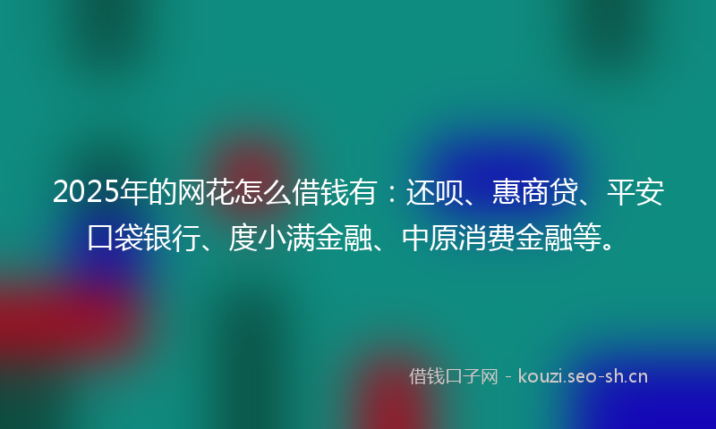 2025年的网花怎么借钱有：还呗、惠商贷、平安口袋银行、度小满金融、中原消费金融等。