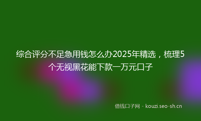 综合评分不足急用钱怎么办2025年精选，梳理5个无视黑花能下款一万元口子