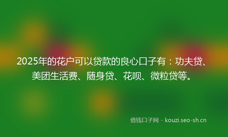 2025年的花户可以贷款的良心口子有：功夫贷、美团生活费、随身贷、花呗、微粒贷等。