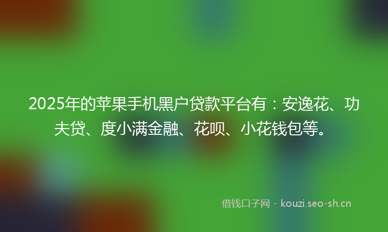 2025年的苹果手机黑户贷款平台有：安逸花、功夫贷、度小满金融、花呗、小花钱包等。