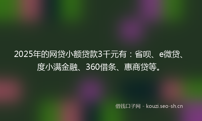 2025年的网贷小额贷款3千元有：省呗、e微贷、度小满金融、360借条、惠商贷等。