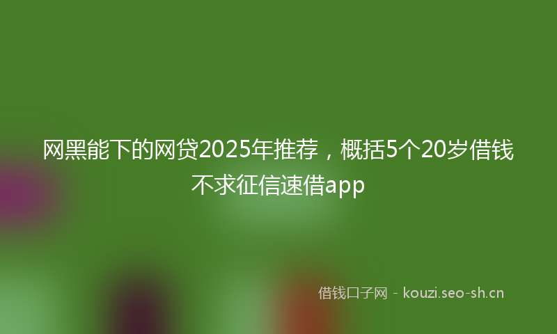 网黑能下的网贷2025年推荐，概括5个20岁借钱不求征信速借app