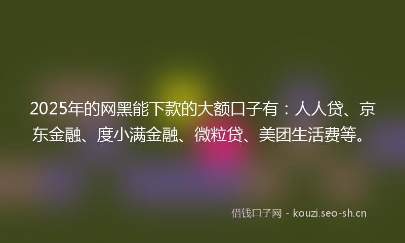 2025年的网黑能下款的大额口子有：人人贷、京东金融、度小满金融、微粒贷、美团生活费等。