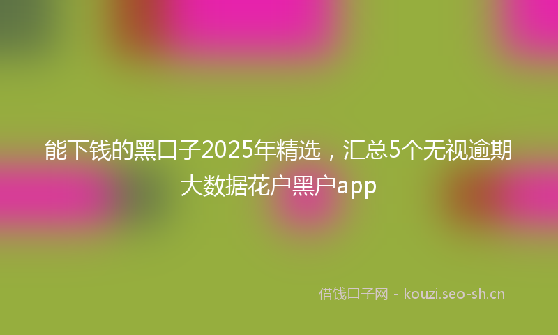能下钱的黑口子2025年精选，汇总5个无视逾期大数据花户黑户app