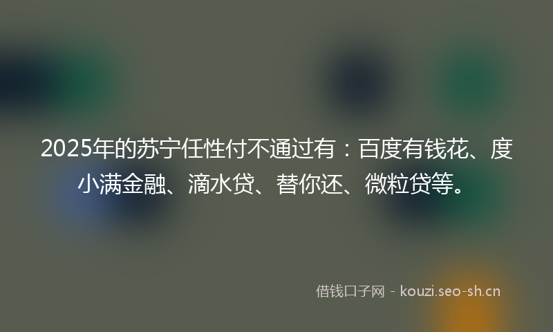 2025年的苏宁任性付不通过有：百度有钱花、度小满金融、滴水贷、替你还、微粒贷等。