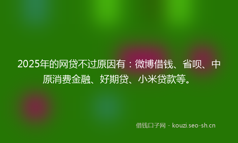 2025年的网贷不过原因有：微博借钱、省呗、中原消费金融、好期贷、小米贷款等。