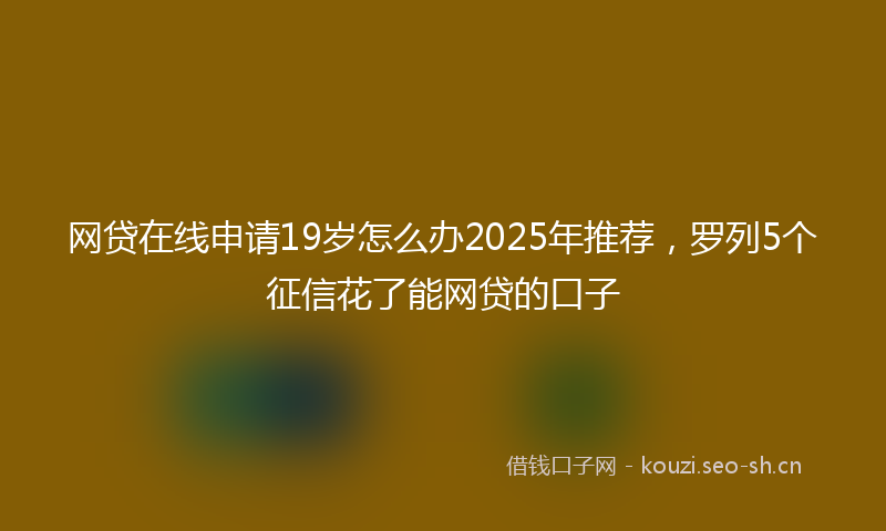网贷在线申请19岁怎么办2025年推荐，罗列5个征信花了能网贷的口子