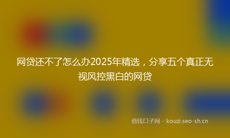 网贷还不了怎么办2025年精选，分享五个真正无视风控黑白的网贷
