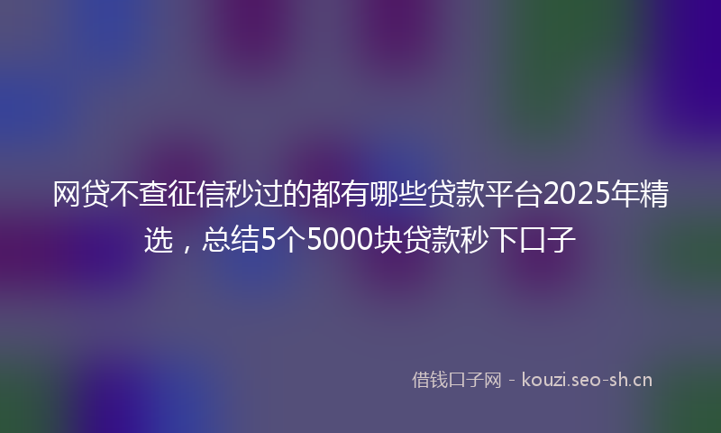 网贷不查征信秒过的都有哪些贷款平台2025年精选，总结5个5000块贷款秒下口子