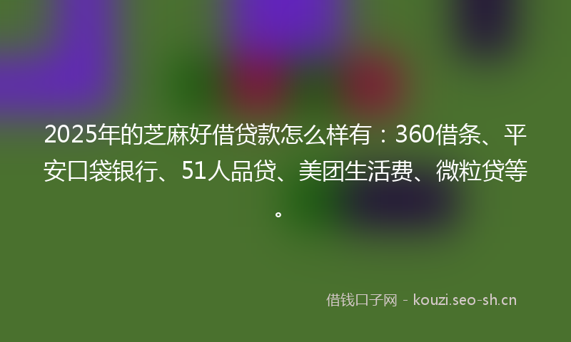 2025年的芝麻好借贷款怎么样有：360借条、平安口袋银行、51人品贷、美团生活费、微粒贷等。