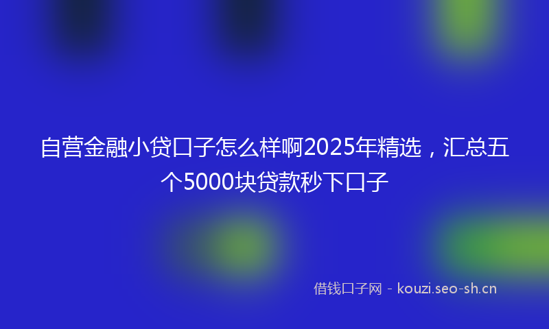 自营金融小贷口子怎么样啊2025年精选，汇总五个5000块贷款秒下口子