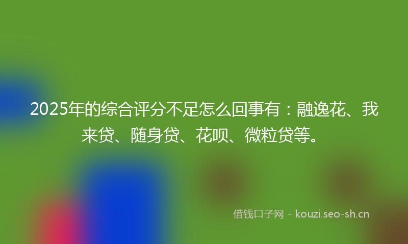 2025年的综合评分不足怎么回事有：融逸花、我来贷、随身贷、花呗、微粒贷等。