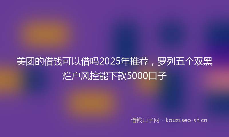 美团的借钱可以借吗2025年推荐，罗列五个双黑烂户风控能下款5000口子