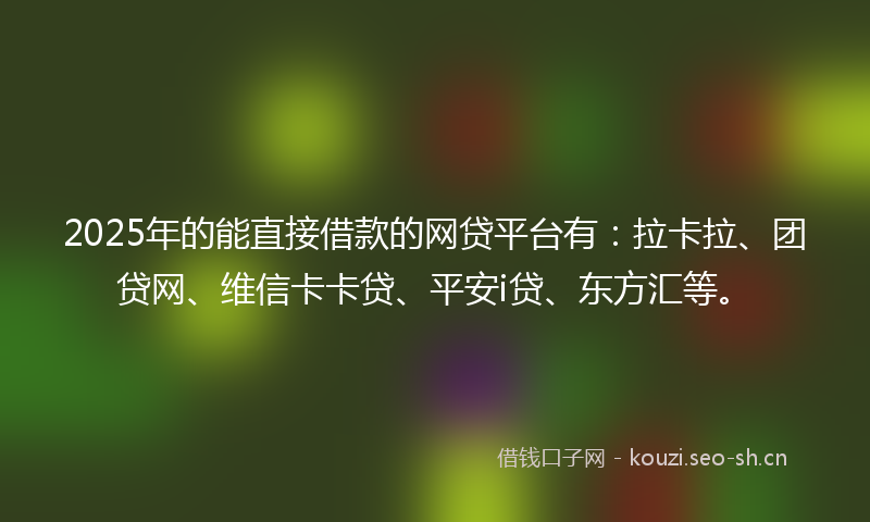 2025年的能直接借款的网贷平台有：拉卡拉、团贷网、维信卡卡贷、平安i贷、东方汇等。