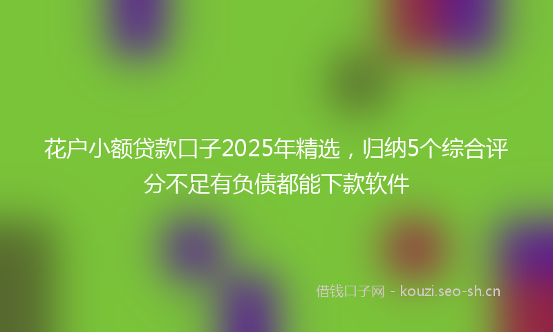 花户小额贷款口子2025年精选，归纳5个综合评分不足有负债都能下款软件