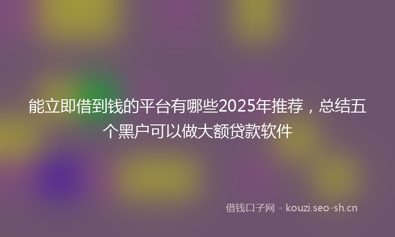 能立即借到钱的平台有哪些2025年推荐，总结五个黑户可以做大额贷款软件