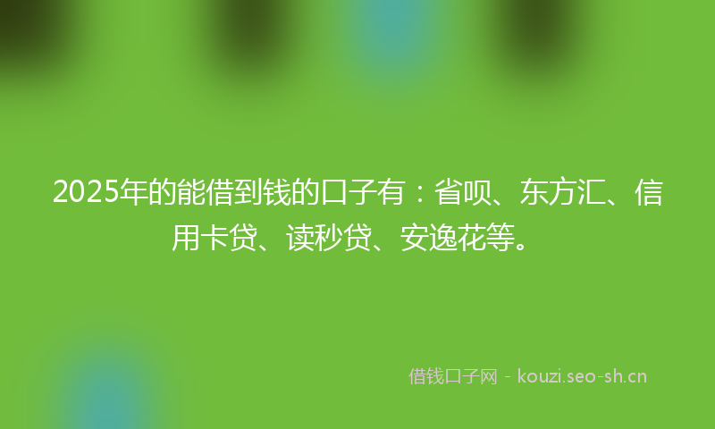 2025年的能借到钱的口子有：省呗、东方汇、信用卡贷、读秒贷、安逸花等。
