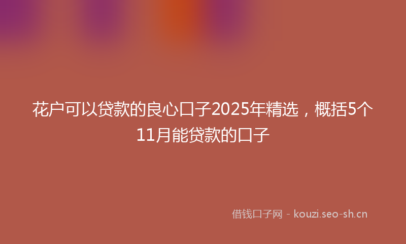 花户可以贷款的良心口子2025年精选，概括5个11月能贷款的口子
