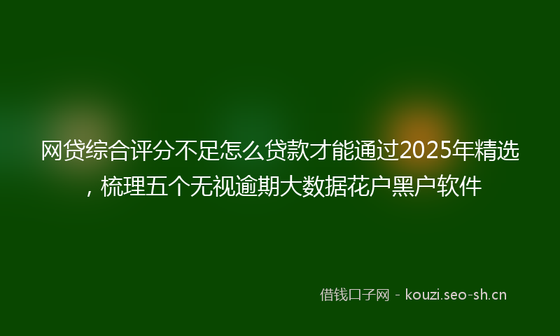 网贷综合评分不足怎么贷款才能通过2025年精选，梳理五个无视逾期大数据花户黑户软件